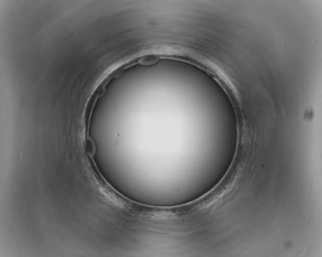 X0000096390837200802071535