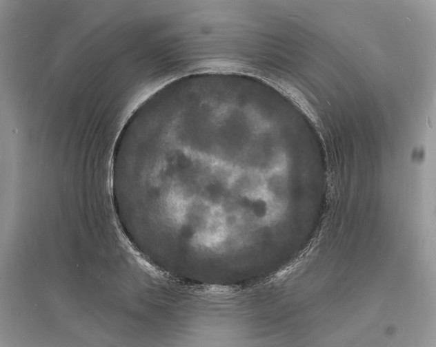 X0000096390839200802071535