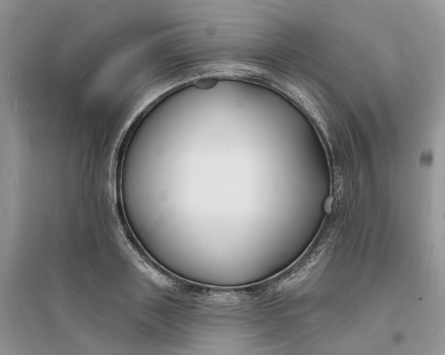X0000096390843200802071535