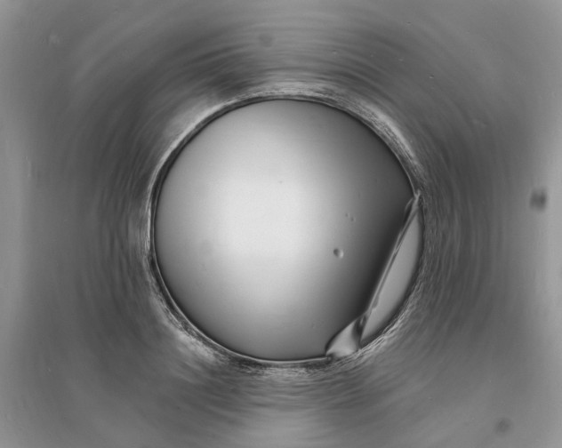 X0000096390844200802071535