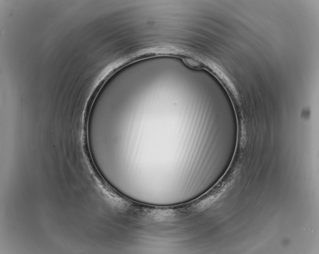 X0000096390845200802071535