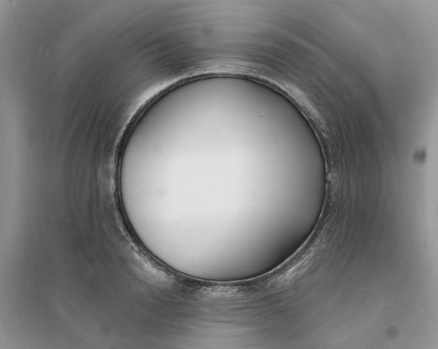 X0000096390846200802071535