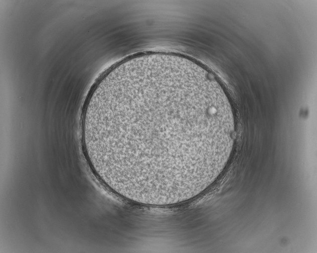 X0000096390848200802071535
