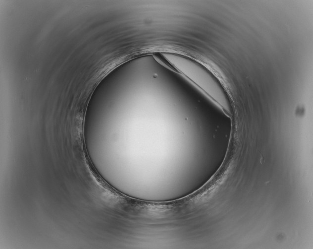 X0000096390849200802071535