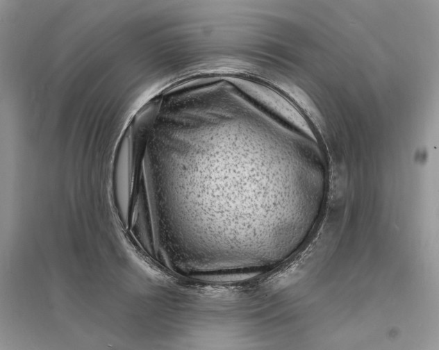 X0000096390850200802071535