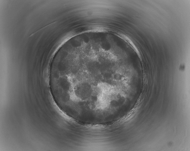 X0000096390851200802071535