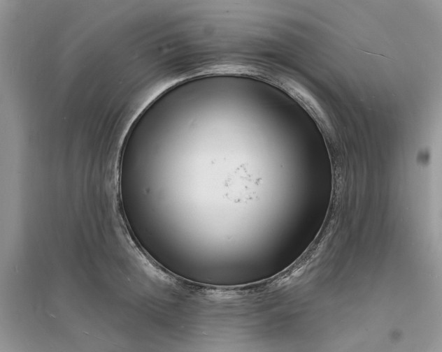 X0000096390852200802071535