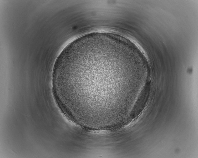 X0000096390853200802071535