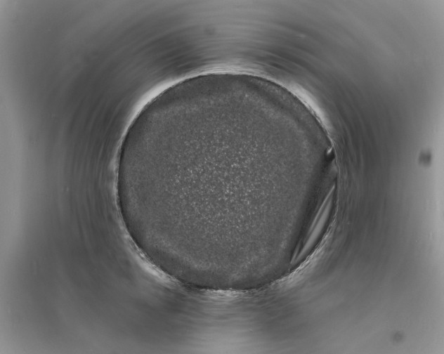 X0000096390854200802071535