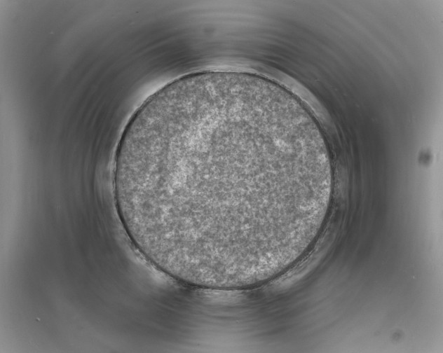 X0000096390856200802071535