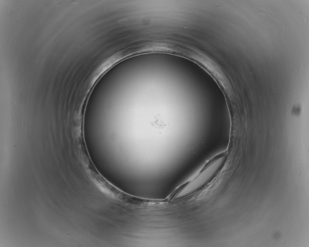 X0000096390858200802071535