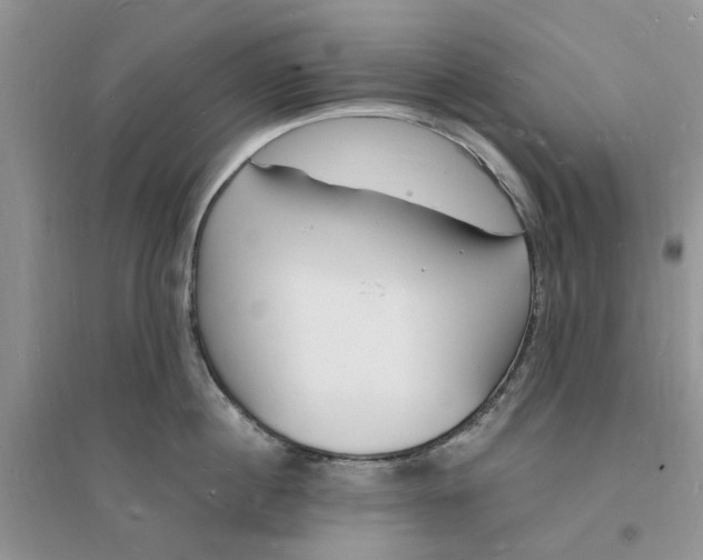 X0000096390860200802071535