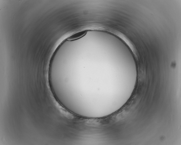 X0000096390861200802071535