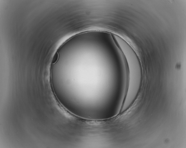 X0000096390862200802071535