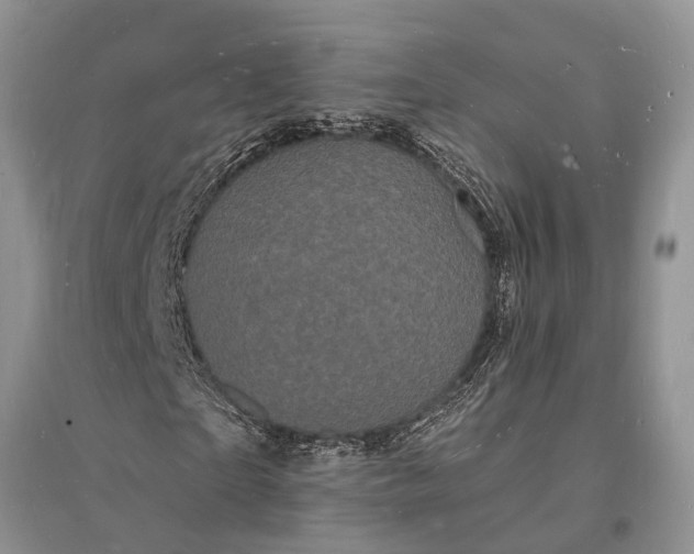 X0000096390865200802071534