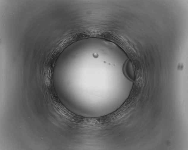 X0000096390866200802071534