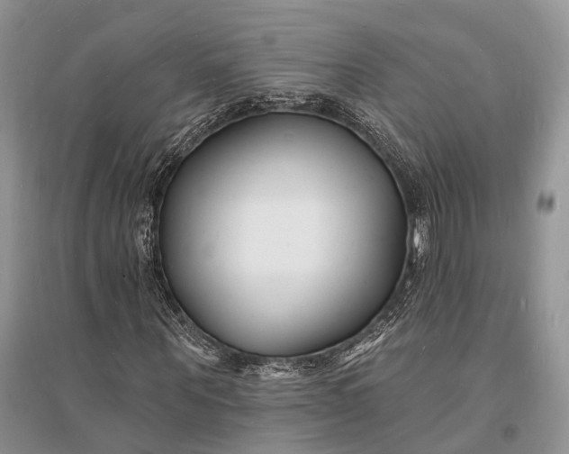X0000096390867200802071534