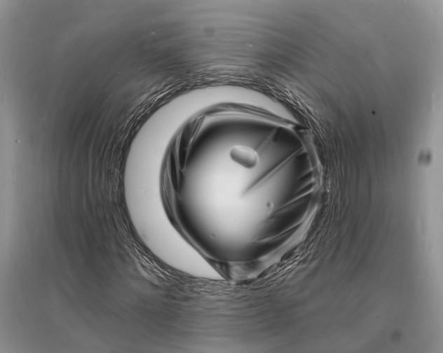 X0000096390868200802071534