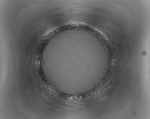 X0000096390869200802071534