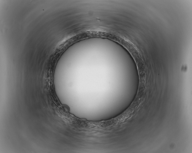 X0000096390870200802071534