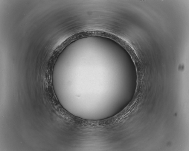 X0000096390871200802071534