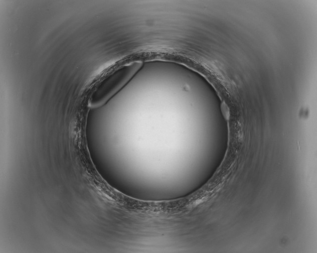 X0000096390872200802071534