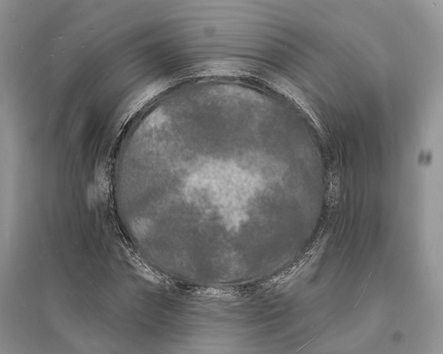 X0000096390874200802071534