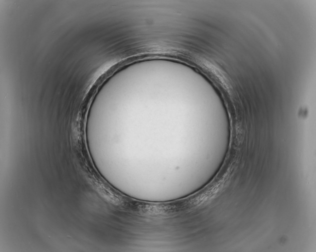 X0000096390875200802071534