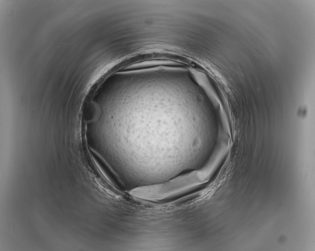 X0000096390877200802071534