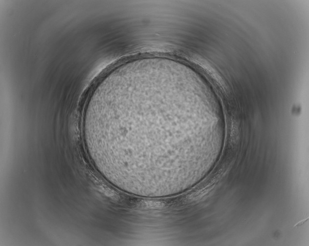 X0000096390878200802071534