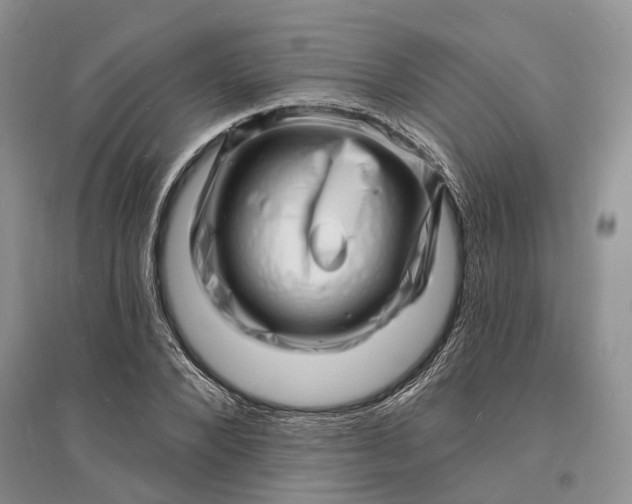 X0000096390880200802071534