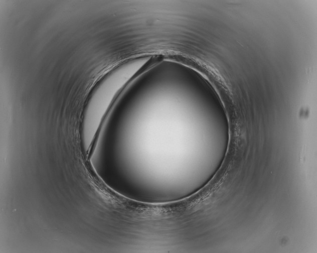 X0000096390881200802071534