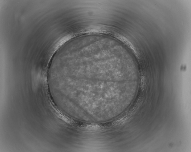 X0000096390882200802071534
