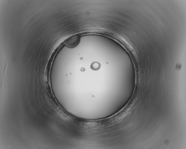 X0000096390883200802071534