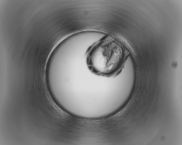 X0000096390884200802071534