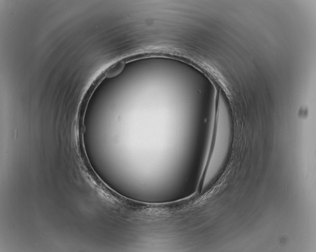 X0000096390888200802071534