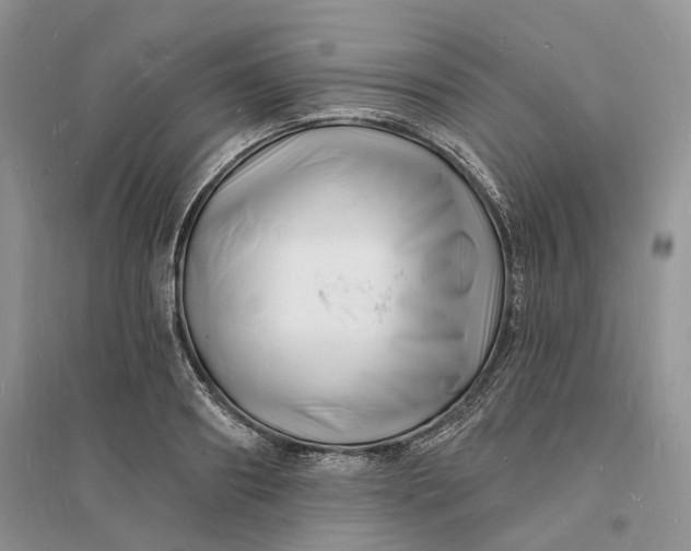 X0000096390890200802071534
