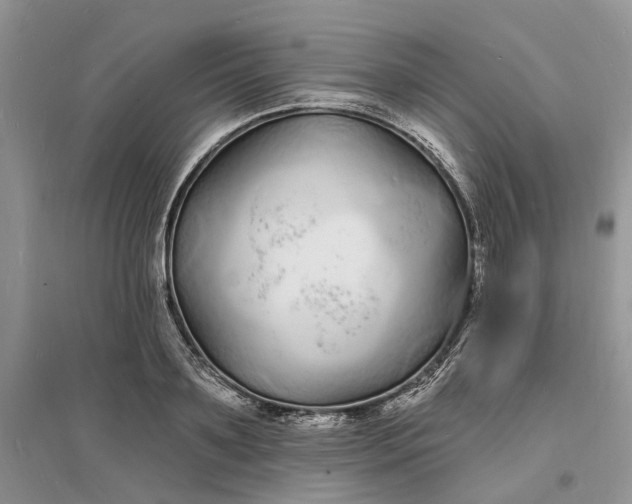 X0000096390891200802071534