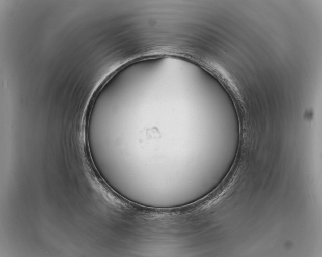 X0000096390892200802071534