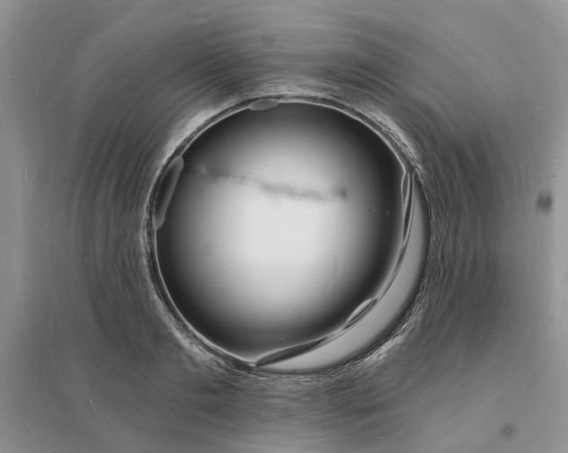 X0000096390893200802071534