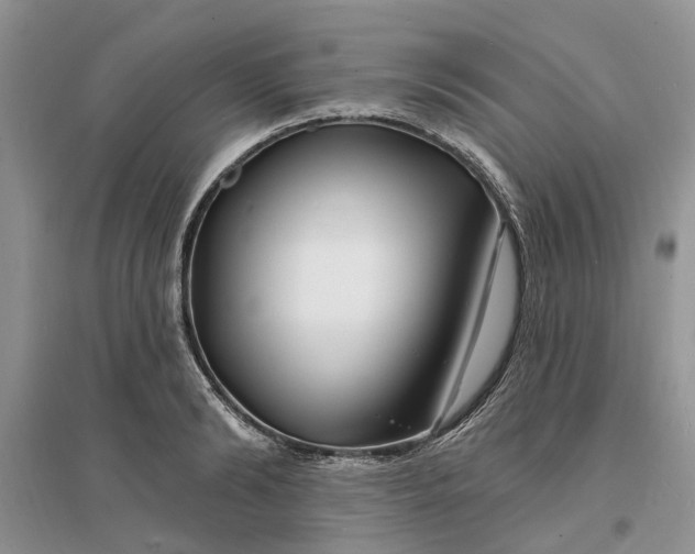 X0000096390894200802071534