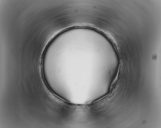 X0000096390895200802071534