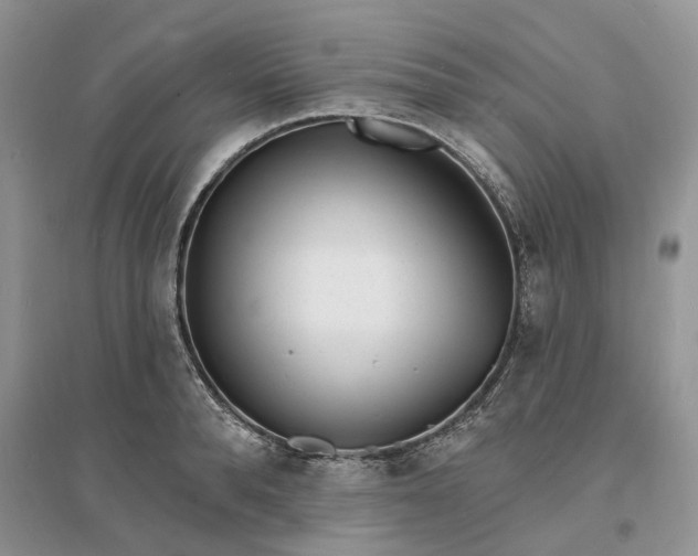 X0000096390896200802071534