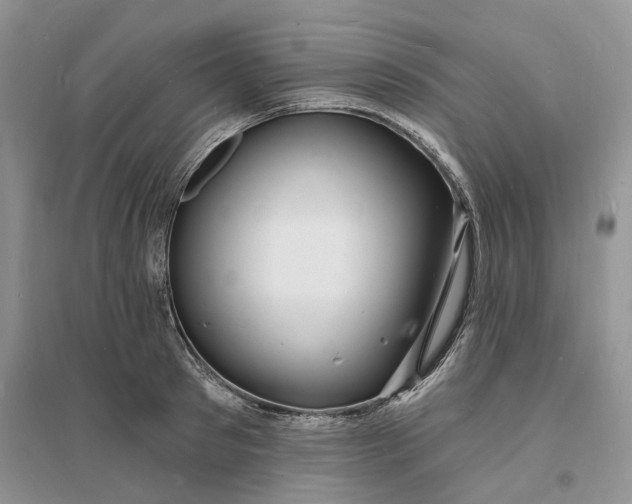 X0000096390897200802071534