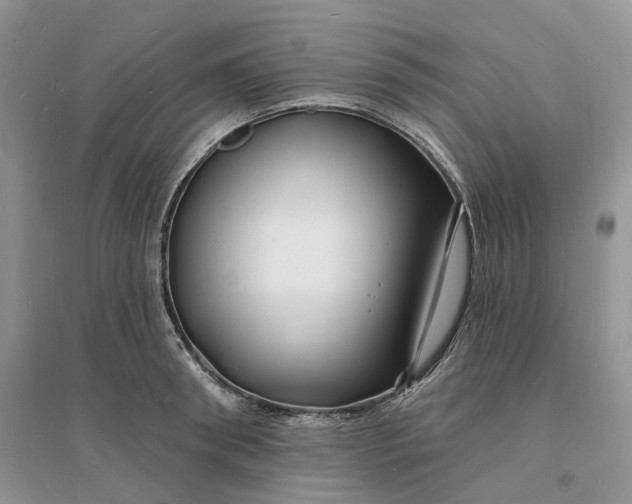 X0000096390898200802071534