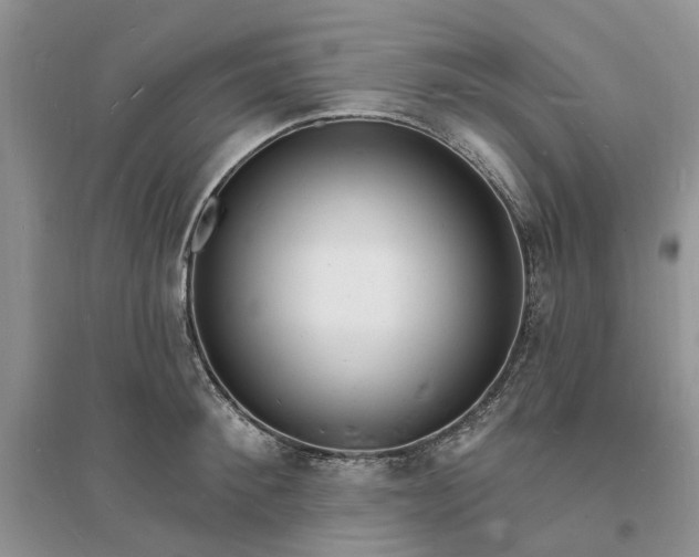 X0000096390900200802071534