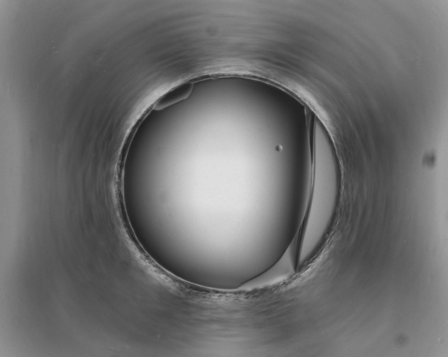 X0000096390901200802071534