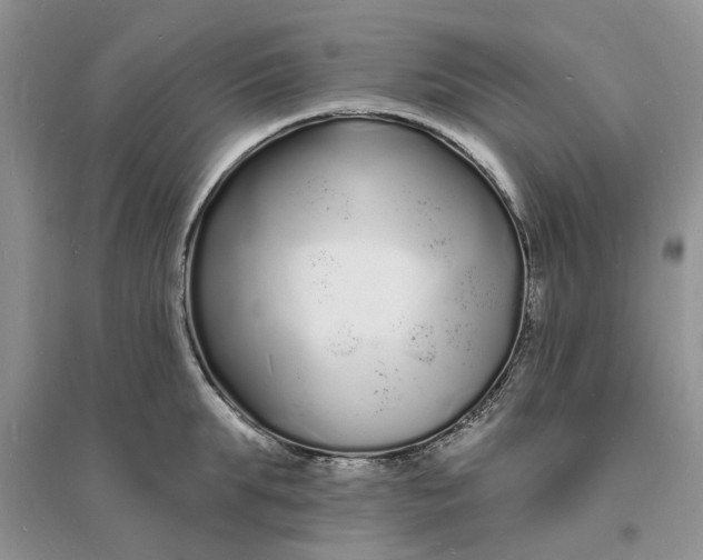 X0000096390903200802071534