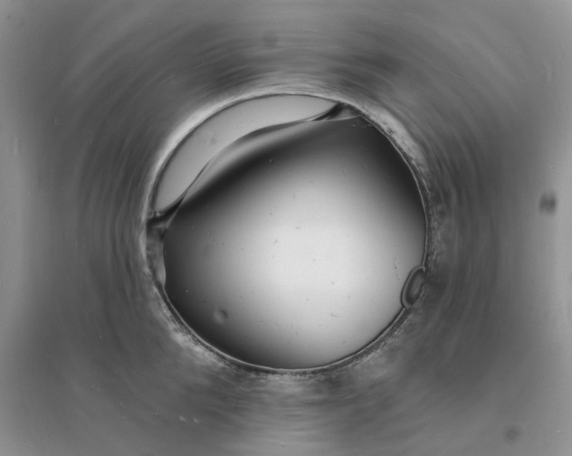 X0000096390904200802071534