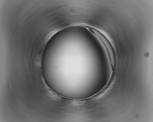 X0000096390905200802071534